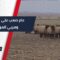 معاناة سكان ريف حماة الشرقي في عام الجفاف