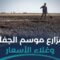 ما هي أبرز المشاكل التي تواجه قطاع الزراعة؟