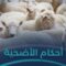 إلى من يريد أن يضحي تعرف على سنن الأضحية وآدابها