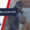 في خطوة تهدف لدعم الزراعة وتعزيز الأمن الغذائي، مزارعون من ريف حماة يبيعون القمح للدولة